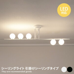 yMAX50OFF! 11/2411/25聚zV[OCg Ɩ Cg 5 | V[O 󃉃v MotoM XtBA LED tACg p^ ی` ׏d ϔM^  nK[t rO 