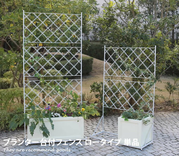 楽天市場 フェンス アイアン ガーデン 庭 高級感 おしゃれ 仕切り 上品 ガーデニング スタイリッシュ ホワイト ブラック 白 黒 家具350 インテリア家具 雑貨