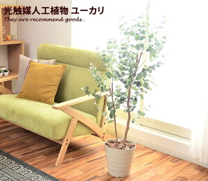 yN[|15OFF! 11/1 0:00~23:59܂ŁzϗtA G}  [J O[ A ybg Vv _ zAfqh L A[gt[ ^oR lHA lH k R h