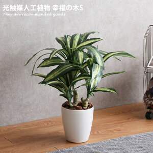 yN[|14OFF! 11/6 0:00~23:59܂ŁzlHϗtA tFCNO[ lHA G} CeAO[  CeA K̖ L R V-CAT O[ Ƃŉ߂  