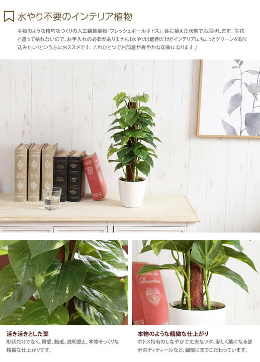 楽天市場 クーポンで15 Off 8 25 0 00 23 59まで Fresh Pole Pothos フレッシュポールポトス 人工植物 観葉植物 光触媒 水やり不要 お手入れ不要 グリーン リアル 家具350 インテリア家具 雑貨