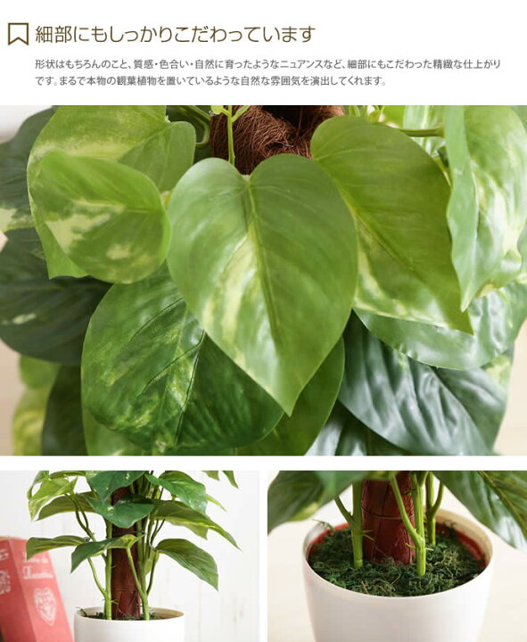 楽天市場 クーポンで15 Off 8 25 0 00 23 59まで Fresh Pole Pothos フレッシュポールポトス 人工植物 観葉植物 光触媒 水やり不要 お手入れ不要 グリーン リアル 家具350 インテリア家具 雑貨