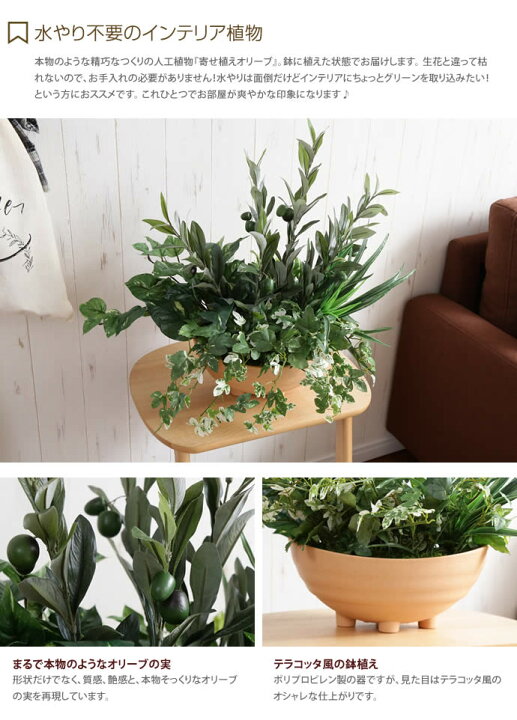 楽天市場 クーポンで15 Off 9 1 0 00 23 59まで Olive Planting 寄せ植えオリーブ 人工植物 観葉植物 光触媒 水やり不要 お手入れ不要 グリーン リアル 家具350 インテリア家具 雑貨