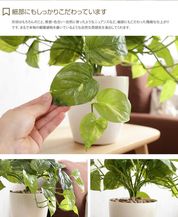 楽天市場 クーポンで16 Off 7 4 00 7 5 23 59まで Fresh Pothos フレッシュポトスm 人工植物 観葉植物 光触媒 水やり不要 お手入れ不要 グリーン リアル 家具350 インテリア家具 雑貨