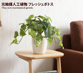 【クーポンで15％OFF！★4/20 0:00~23:59限定★】Fresh Pothos フレッシュポトスM 人工植物 観葉植物 光触媒 水やり不要 お手入れ不要 グリーン リアル