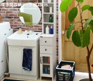 yN[|13OFF! 12/6 0:00~23:59܂Łz܎[ Ԏ[ 25cm XbN [bN h[bN zCgEbh zCg Vv