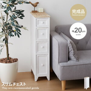 yMAX50OFF! 12/412/5聚z`FXg ^X [ [Ƌ I X ؐ  i 20cm 4i {I Lrlbg VFt bNI [I VR ˍ