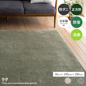 �y�N�[�|����15��OFF! 12/22 0:00~23:59�܂Ł��z���O �}�b�g �J�[�y�b�g 2�� �h�� �h�_�j ���g�[ �z�b�g�J�[�y�b�g�Ή� �V�ііh�~ ���{�� 185×185 ���r���O �_�C�j���O ���n �I�[���V�[�Y�� �����` 1