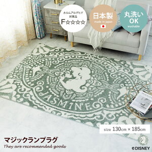 yMAX50OFF! 11/20 20:00 ~ 23:59܂ŁzO}bg OJ[ybg O~ EHbVu @􂢑Ή g[Ή Vііh~ X~mG fBYj[ Disney home PRINCESS AW WX~ {