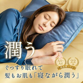 枕カバー シルク 100% 22匁 高品質 封筒式 43×63cm 片面 シルク枕カバー まくらカバー おしゃれ 可愛い シルク ピローケース 絹 枕 涼しい 温かい 裏面テンセル 洗える 美髪 美肌 ギフト クリスマス 1枚入