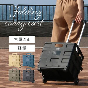 ܂肽 J[g y LX^[t ^ Thx[W/J[L/lCr[/ubN ETC001565