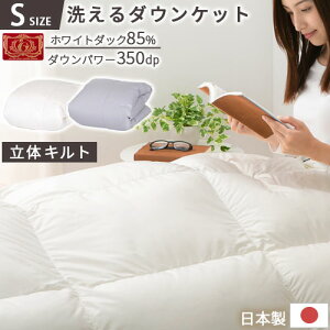 冬用掛け布団 ホワイトダックダウン 85% 350dp 羽毛布団 冷え対策 ふかふか なめらか シングルサイズ 本掛け 秋 冬用 春 掛布団 軽量 防ダニ 防汚 花粉フリー 洗える あったか 寝具 通気性 ピー