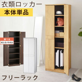 【組立品/完成品が選べる】 ロッカータンス 扉付き 全3色 LRAUW0330