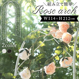 クレマチス アーチの人気商品 通販 価格比較 価格 Com