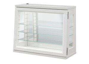 RNVP[X  KX RNV{bNX 50cm i wʃ~[ ^  tBMA ANX^ P[X RNV{[h KXP[X V[P[X vf 