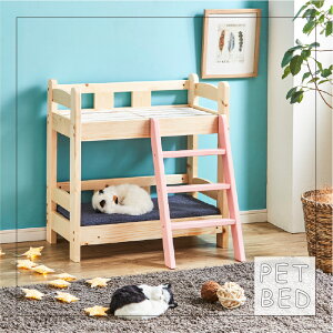 ybgxbh 2i ؐ ̂ xbh L  ybgp p Lp ؐxbh ̂xbh ybgpxbh ybgpi ybgƋ Q Vv 킢   PB-02y[J[