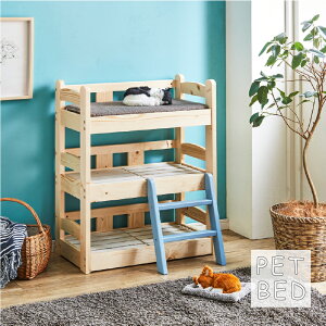 ybgxbh 3i ؐ ̂ xbh L  ybgp p Lp ؐxbh ̂xbh ybgpxbh ybgpi ybgƋ Q Vv 킢   PB-03y[J[