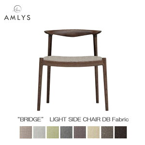 AMLYS AX BRIDGE ubW Y ֎q_CjO `FA CgTCh`FAz t@ubN DB k f}[N fUCICh _[NuE 󒍐Yi Jݒu