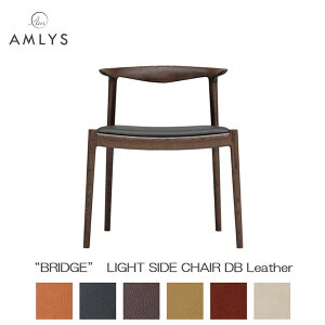 AMLYS AX BRIDGE ubW Y ֎q_CjO `FA CgTCh`FA{v U[ DB k f}[N fUCICh _[NuE 󒍐Yi Jݒu