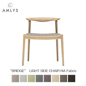 AMLYS AX BRIDGE ubW Y ֎q_CjO `FA CgTCh`FAz t@ubN NA k f}[N fUCICh i` 󒍐Yi Jݒu