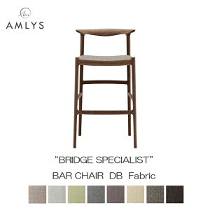 AMLYS AX BRIDGE ubW o[`FA _[NuEY ֎q _CjO `FA z t@ubN zCgI[N IChk f}[N fUC 󒍐Yi Jݒu