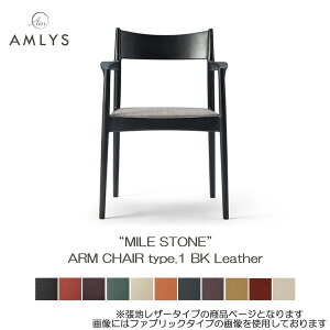 AMLYS AX MILE STONE A[`FA ^Cv1v U[ Y _CjO `FA It BK ubNzCgAbV k f}[N fUC֓n