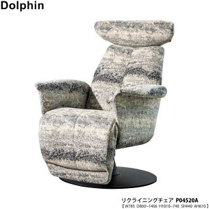 ymt@j`A (xmt@j`[) 󒍐Yi YDolphin htB NCjO`FAp[\i`FA uP04520Av JݒuE