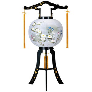 ~ 傤 ] ] 11uǎGGvdCR[h 8605-11-705