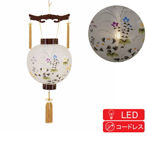 ~ a {̃vX`bNu11 C Gv dr LED8009-11-132AC