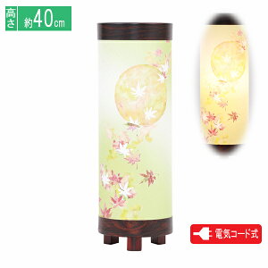 �~�� �~���傤���� �n��� ��O�������胂�_�� ���ڂ댎 �� �d�C�R�[�h��8700-GT-838