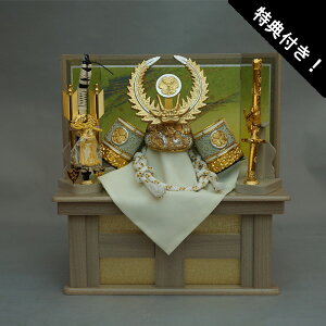 y|Cg10{z [ Zbg  ܌l`܌ [߂̐ߋ ƍN Zbg15 [  |t  F1505B 