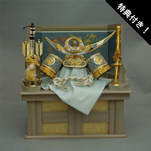 y|Cg10{z [ Zbg  ܌l`܌ [߂̐ߋ 㐙M Zbg15 [  |t  F1508 