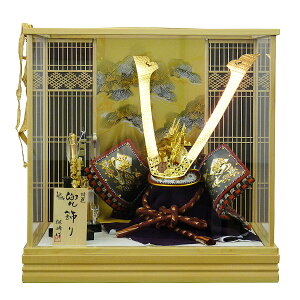 y|Cg10{z P[X  ܌l`܌ ߋ [߂̐ߋߋl` uP[Xv 