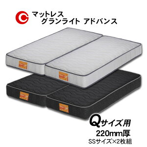 Oc }bgX uOCg AhoXv Q NC[TCYp (SS×2) Y h_j R hL 23cm ֓n