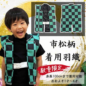 s wHD p Sŕ  RXv ߑ 80`100cm܂ Ԃ ߑ