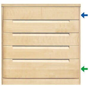 CECILE^X \yY Ή Jݒu`FXg100-5i`FXgi[)TNށii`F)/jށiuEF) ۓc؍H ZV