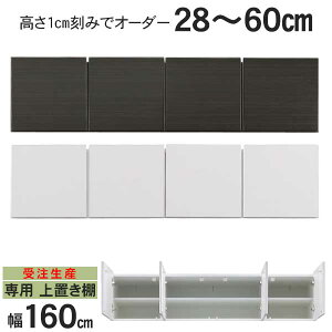 !?10/4`y|Cg&N[|z Jݒu 󒍐Y puI u 160 I[_[ 2F ubN zCg ˂ 28cm60cm 1cm݂ŃI[_[\
