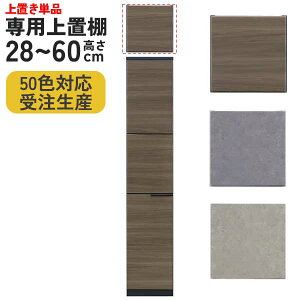 前板50色から選べる 専用上置き棚 上置き 棚 収納玄関渡し 受注生産 幅40 高さ28cmから60cm 耐震対策 転倒防止 左開き 右開き 上置きのみ