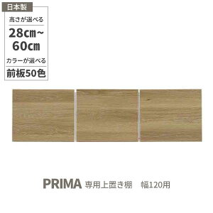 pu 120 { W{[hp HIp ֓n uI u ϐkb` ˂ 󒍐Y I[_[ 28cm60cm܂1cm 50FΉ