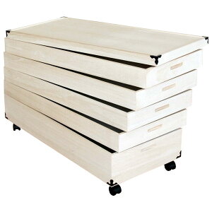  [ P[X { ˃^X a_X a^X a\y ˈߏփP[XEdグ ߑP[X5i M[TCY91cm LX^[t uKR-5Cv 