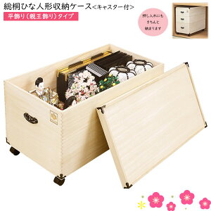 [ P[X { O˖| ˂ЂȐl`[P[X Y Edグl`[ LX^[t  e[^Cv[^1i uTS-1BLv 