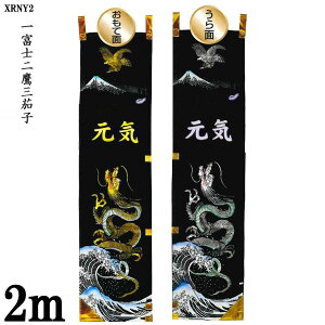�̂ڂ�� 2m �ߋ�� �G��̂݁u��x�m���O�֎q XRNY2�v ���O���T�[�r�X �������� �܌��ߋ� ���ѓ�� �t�W�T���� ���