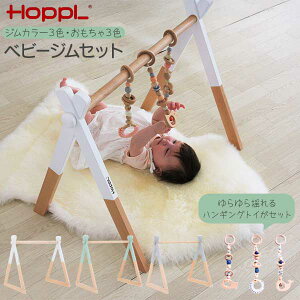 HOPPL zbv xr[WZbg VR nMOgC vgi j Mtg Ԃ  xr[J[ ֓n h炵ėV W3F nMOgC3F