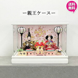 !?yPő50ȏ&N[|z l` RpNg P[X  2l _  ~j 킢  ̐ߋ ̎q Ԃ  28523