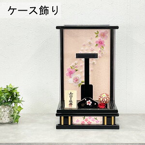 y|Cg10{z Hq j X^h RpNg Hq  ߋj ȂP[XPi 蕨 AN  8  hJ 28013