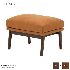 LEGACY KV[V[Y qėfUC 60cmIbg} Xc[ u \t@ \t@[rO IC-061 ؕuE VRC ֓n