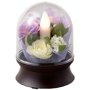 ~ CeA n񓔃~l Lh TLR[hXLED 1