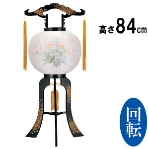 ~pi  ~ ~  V~  ~傤 ~ ] Mtg  vX`bNu  ڈvi2640