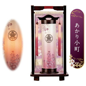 !?y|Cg&N[|z ~ ~傤 ~jTCY R[hXΉ  ƖLED dCR[h drΉ菬 ԐVz 267U