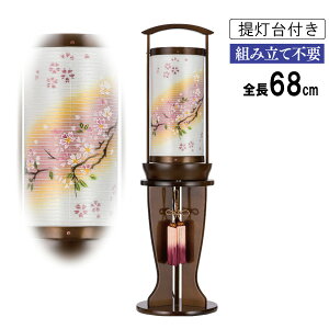 ~ ~傤  dCR[hd  ibg()  660 ut